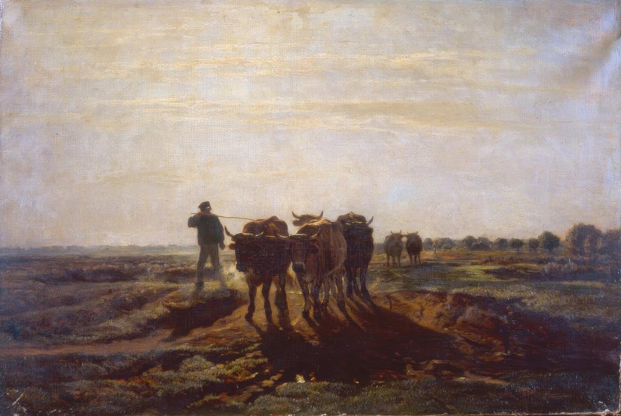 Öküz ile düz yatay by Constant Troyon