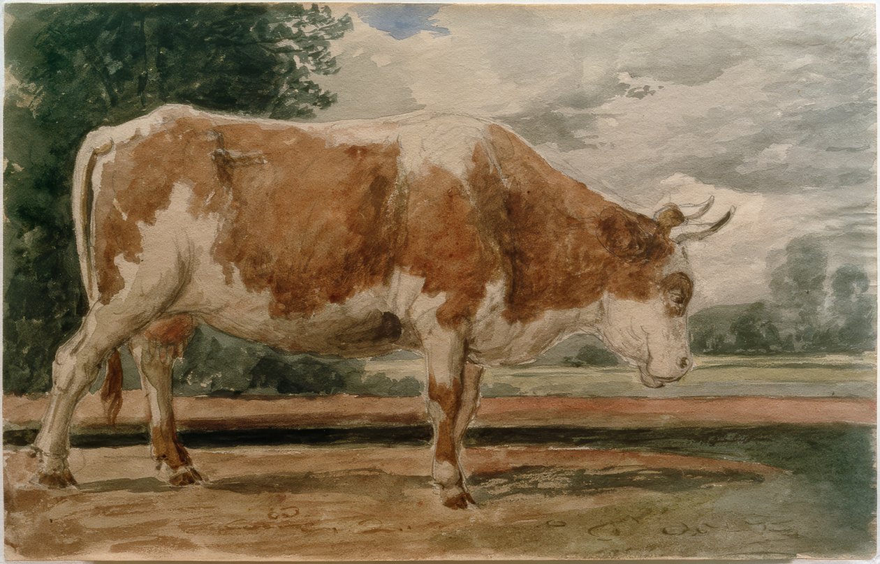 Yan görünümde inek by Constant Troyon