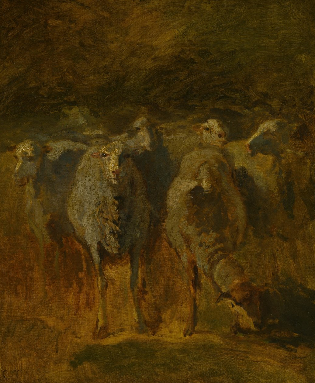 Koyunların Bitmemiş Çalışması by Constant Troyon