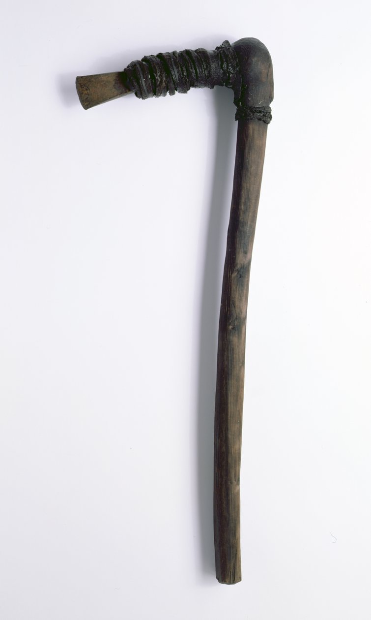 Oetzi Iceman ile birlikte bulunan balta (deri ciltli porsuk ağacı) (ayrıntılar için bkz. 222117) by Copper Age