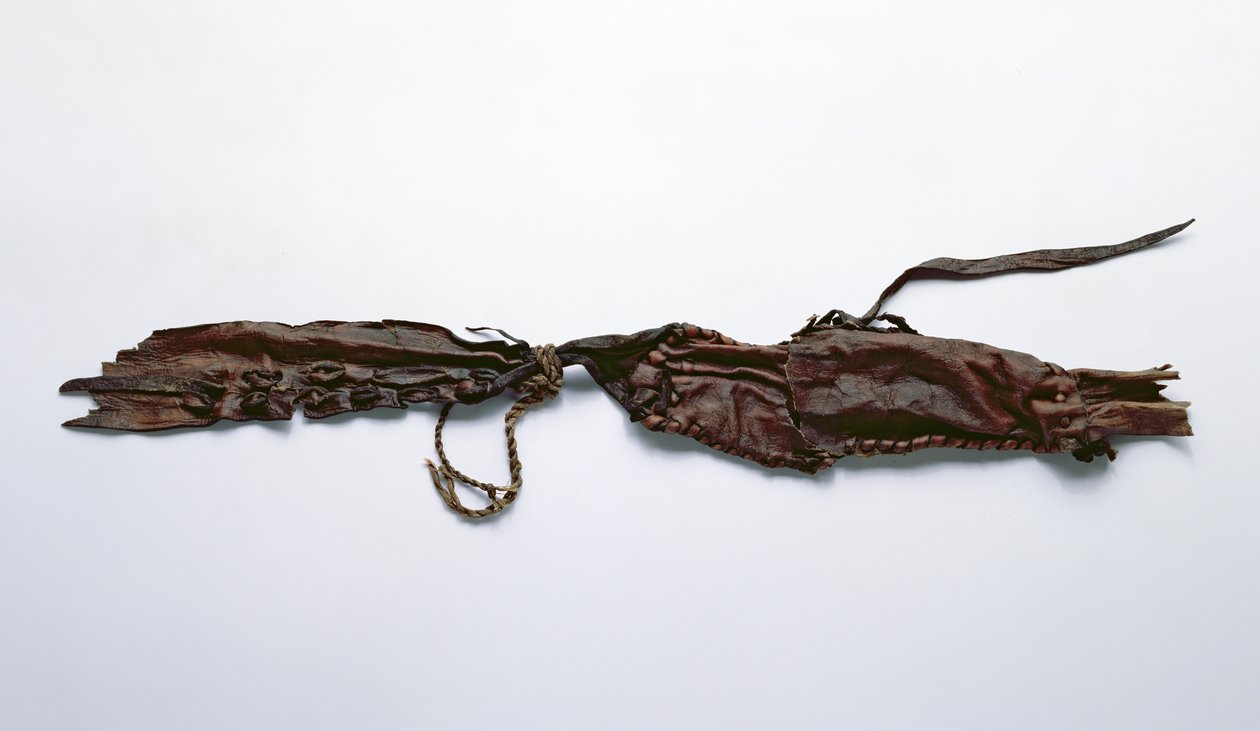 Oetzi Iceman (deri) ile birlikte bulunan deri parçası by Copper Age