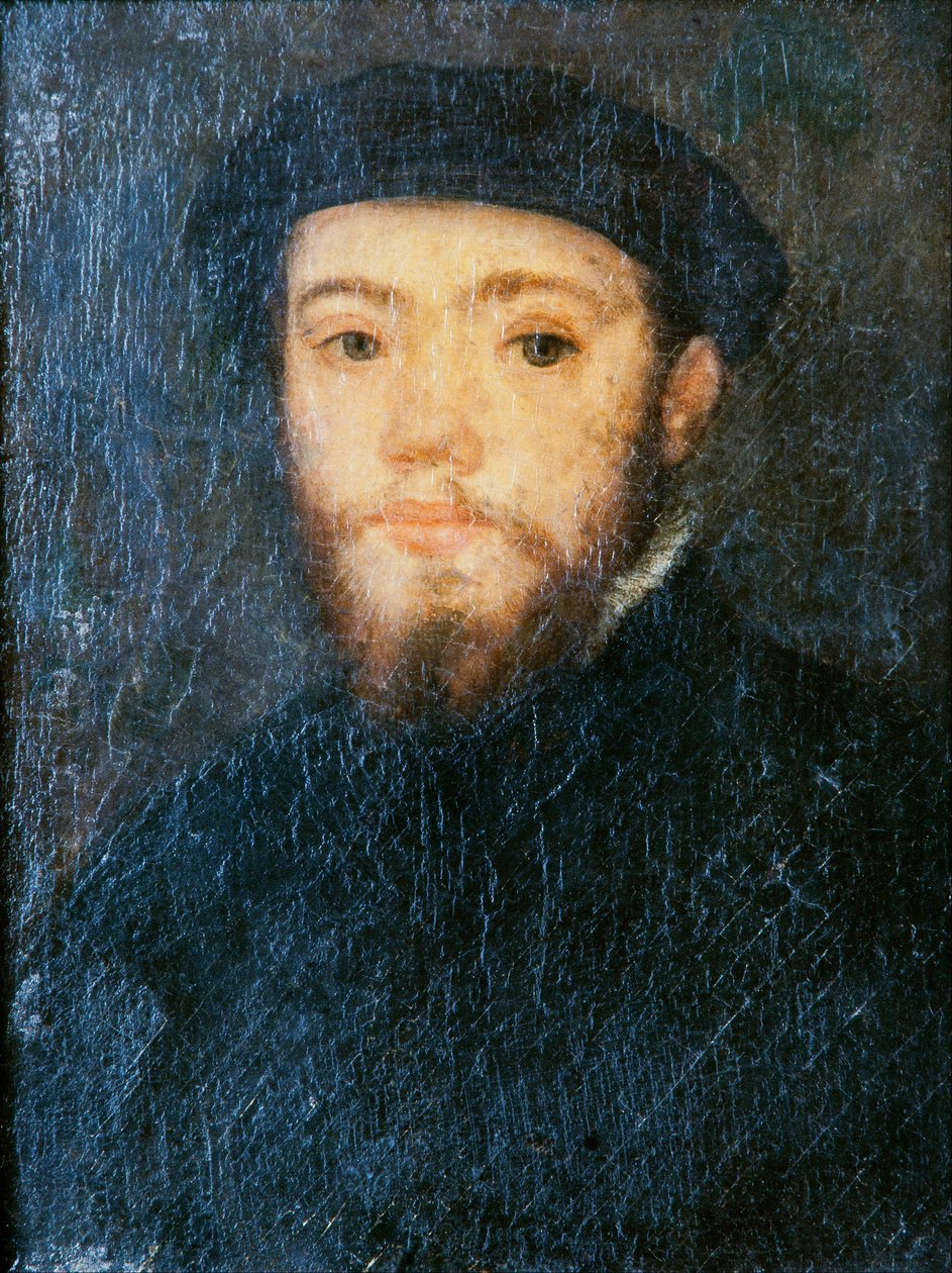 Bir Adamın Portresi by Corneille de Lyon