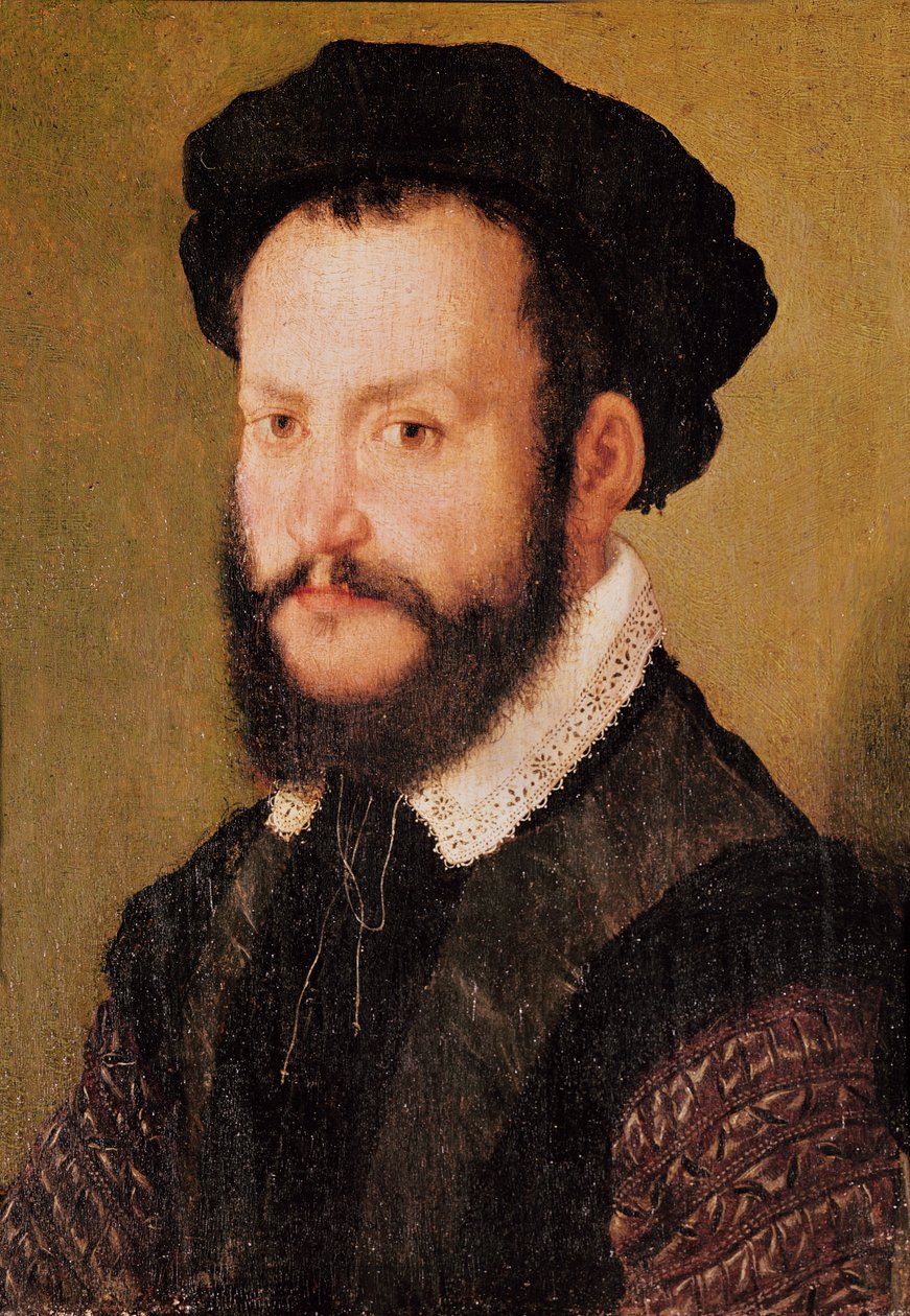 Kahverengi Saçlı Bir Adamın Portresi, c.1560 by Corneille de Lyon