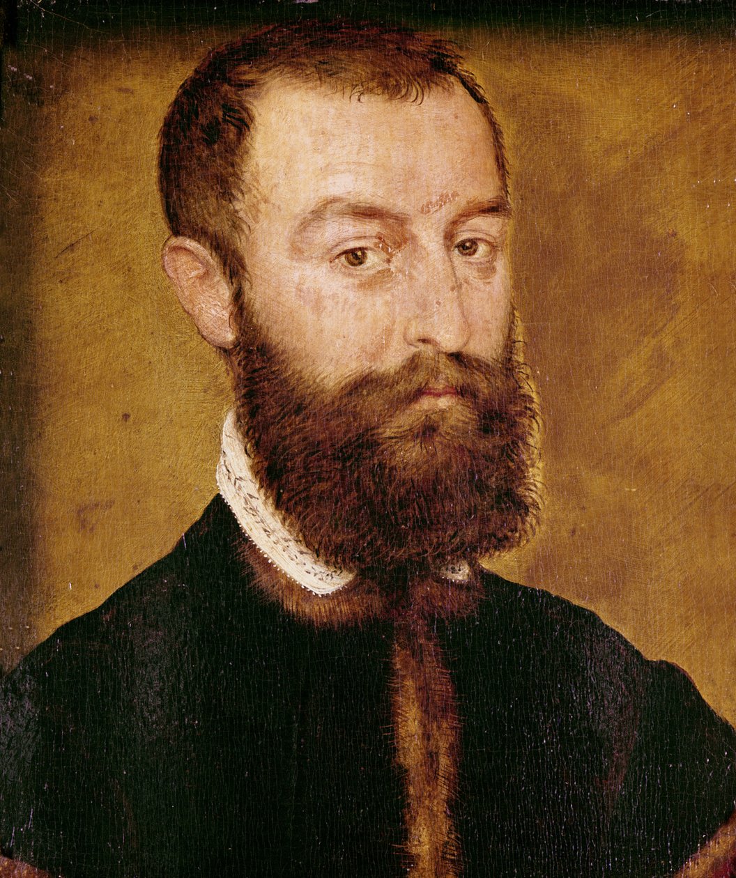Sakallı Bir Adamın Portresi veya Kahverengi Saçlı Bir Adamın Portresi by Corneille de Lyon