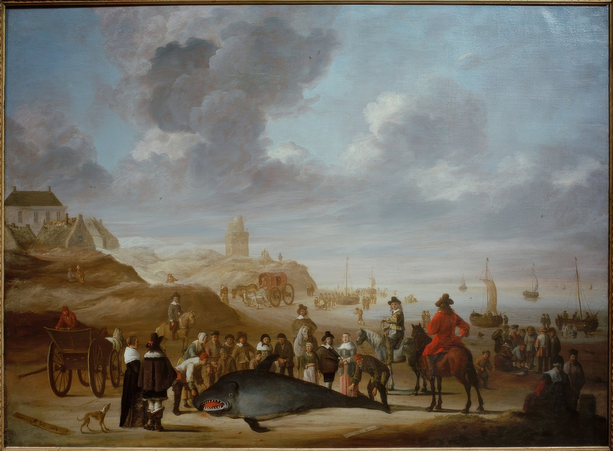 Scheveningen sahilinde balina by Cornelis Beelt