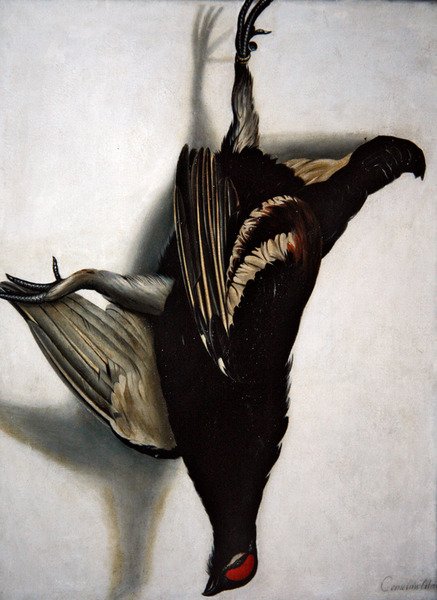 Bir Blackcock