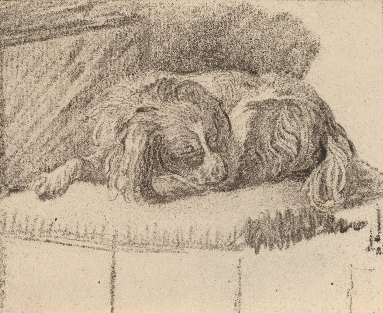 Yalancı Köpek, 1777. by Cornelis Brouwer