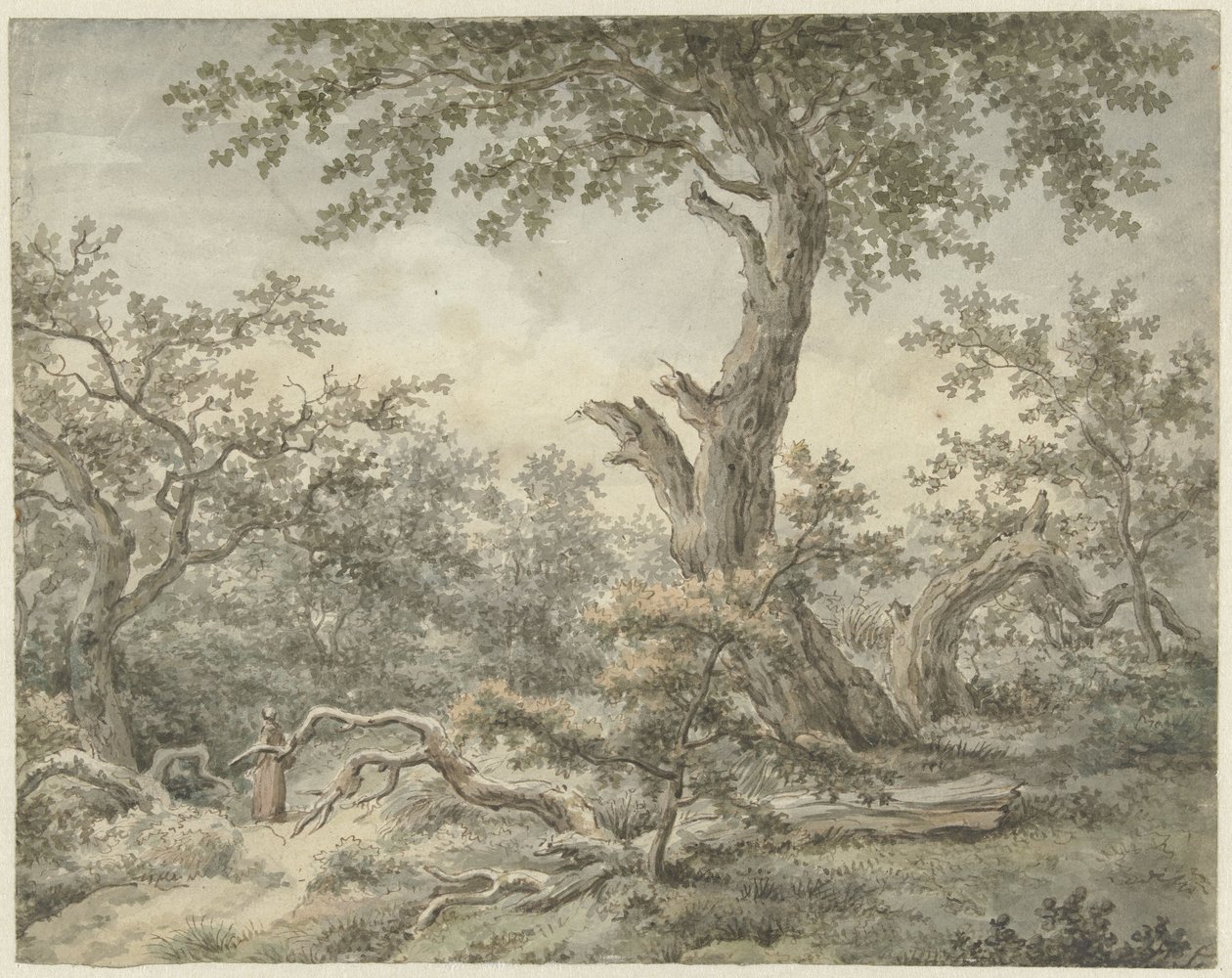 orman manzarası by Cornelis Buys