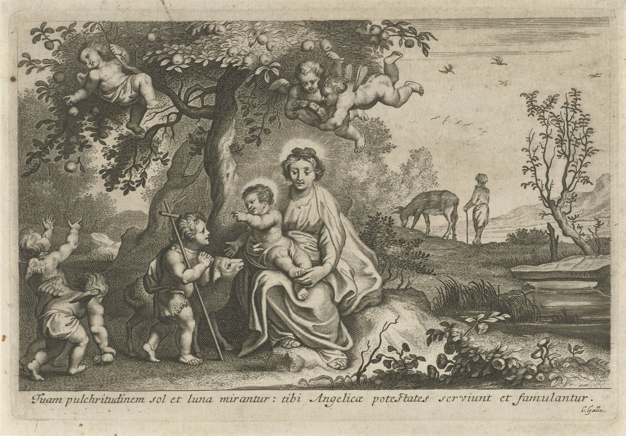 Çocuklu Meryem ve Vaftizci Yahya by Cornelis Galle (II)