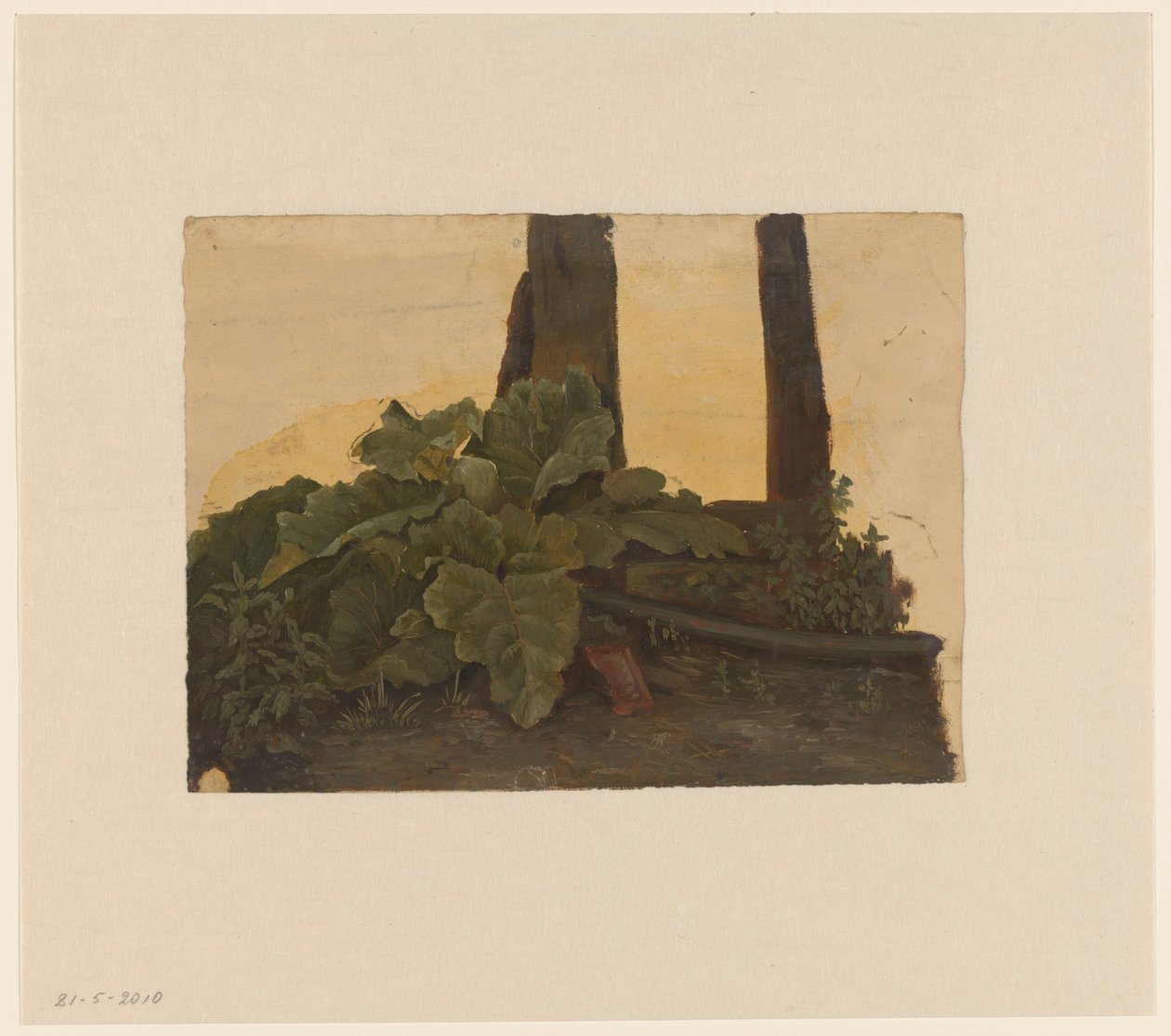 Bir ağaç gövdesinin dibinde bitkiler by Cornelis Johannes de Vogel