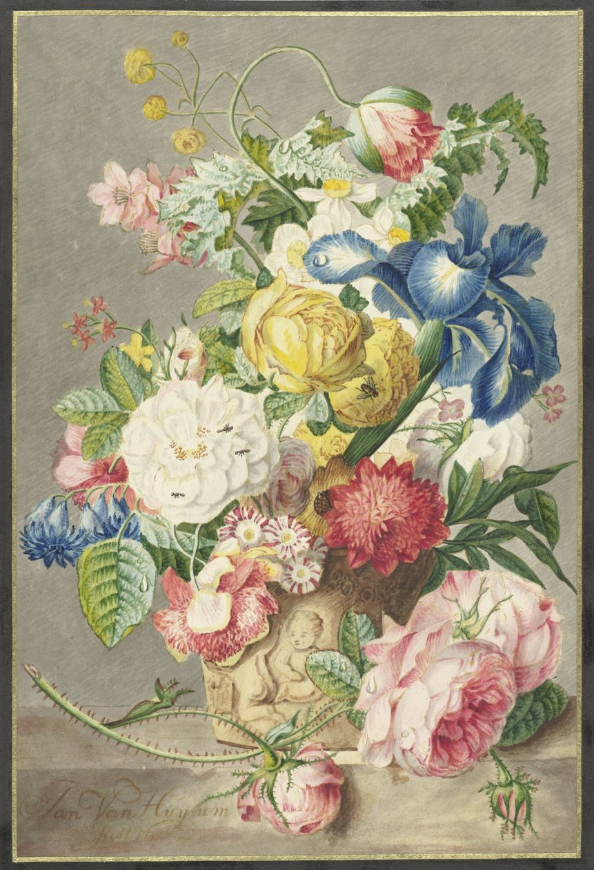 Buket by Cornelis Ploos van Amstel