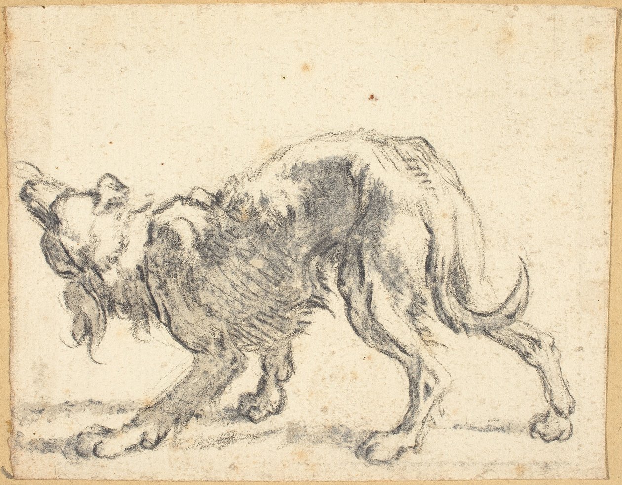 Bir köpek by Cornelis Saftleven