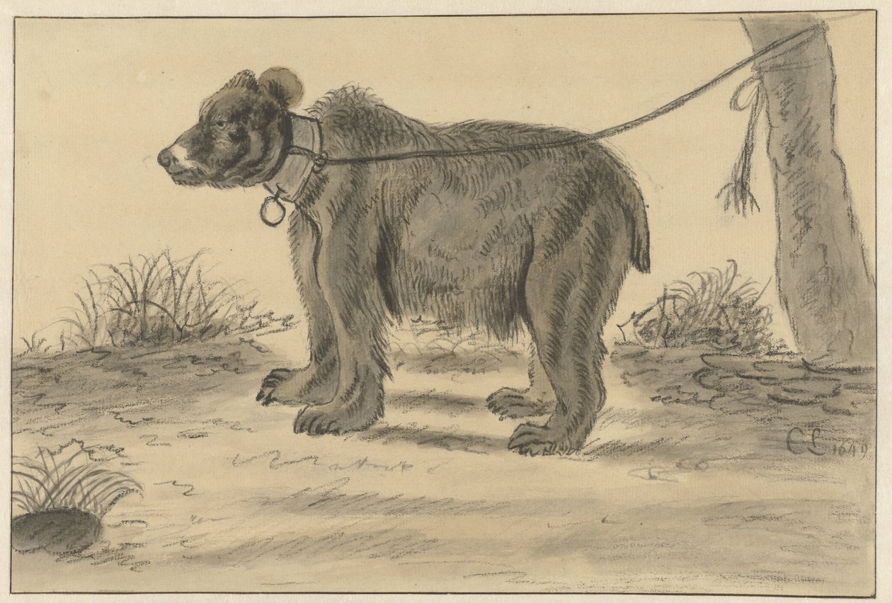 Bir ağaca bağlı ayı by Cornelis Saftleven