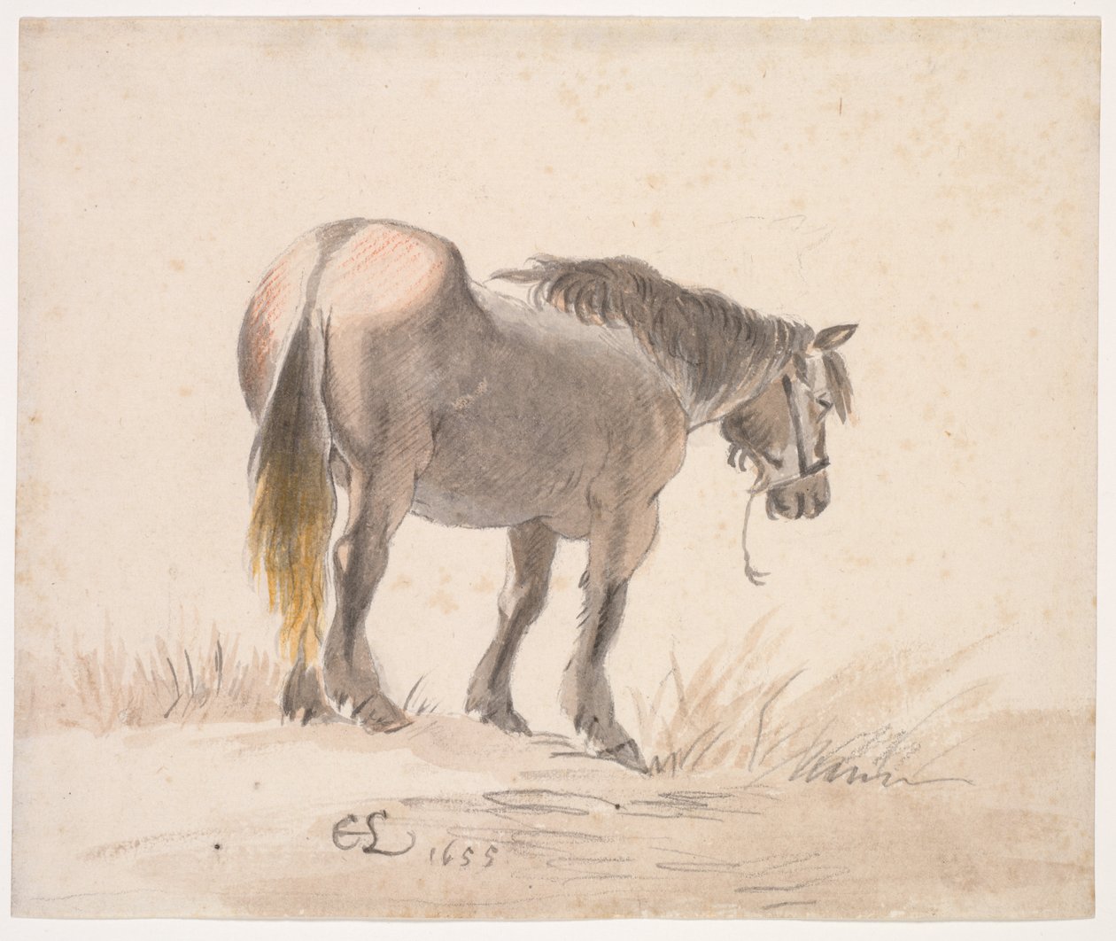 Bir Höyükte Duran At by Cornelis Saftleven