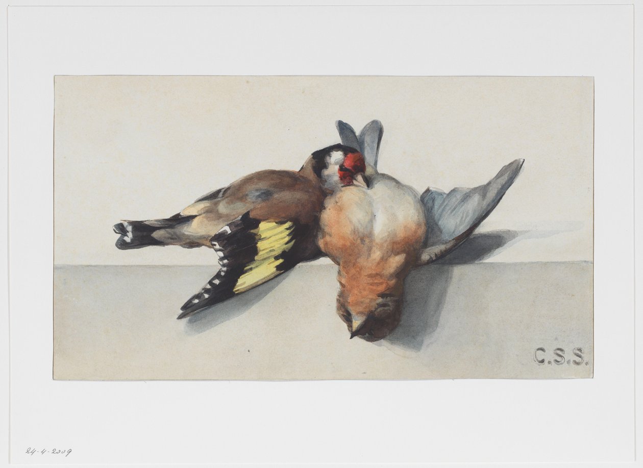 iki ölü kuş ile natürmort by Cornelis Samuel Stortenbeker