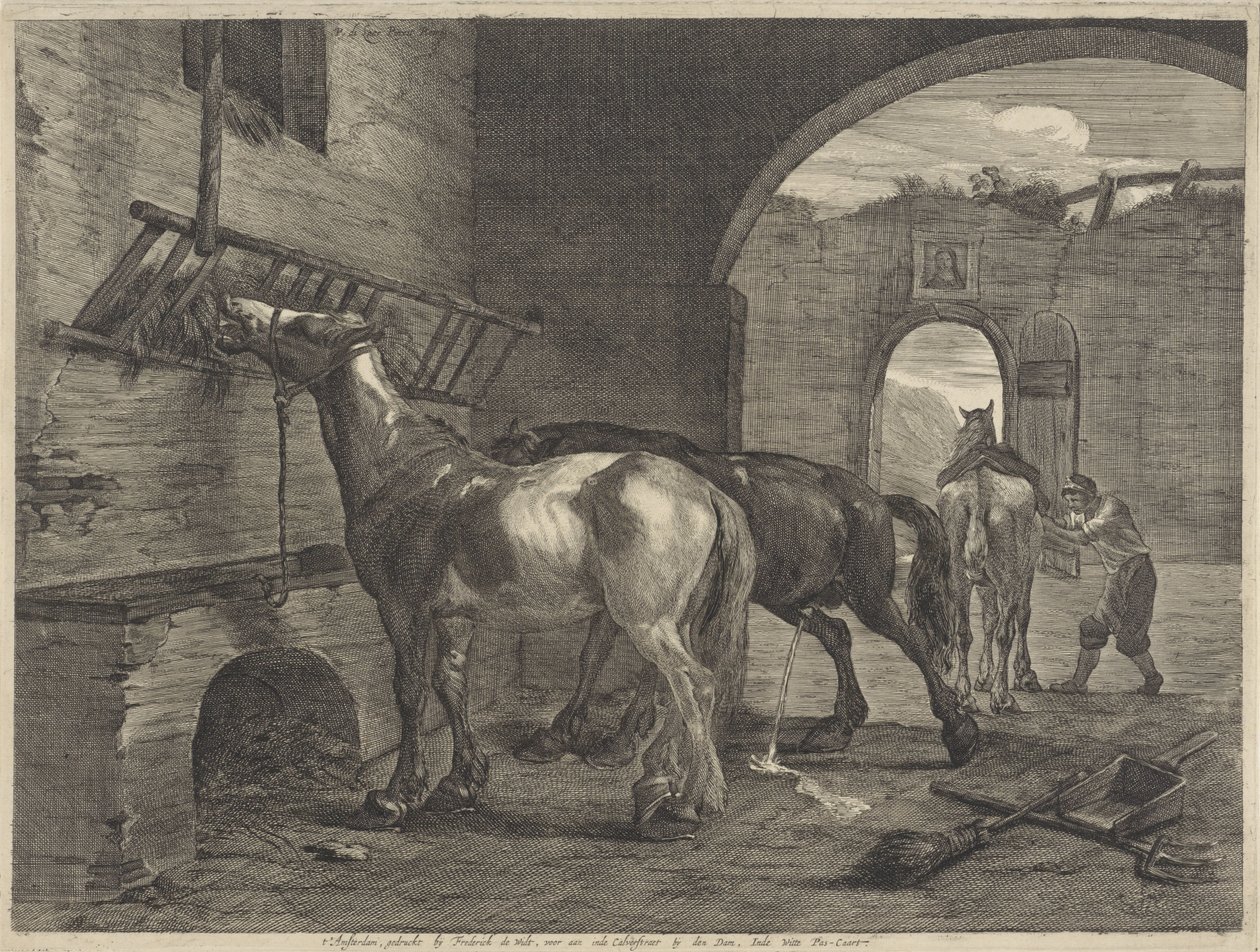 Kararlı by Cornelis Visscher (II)