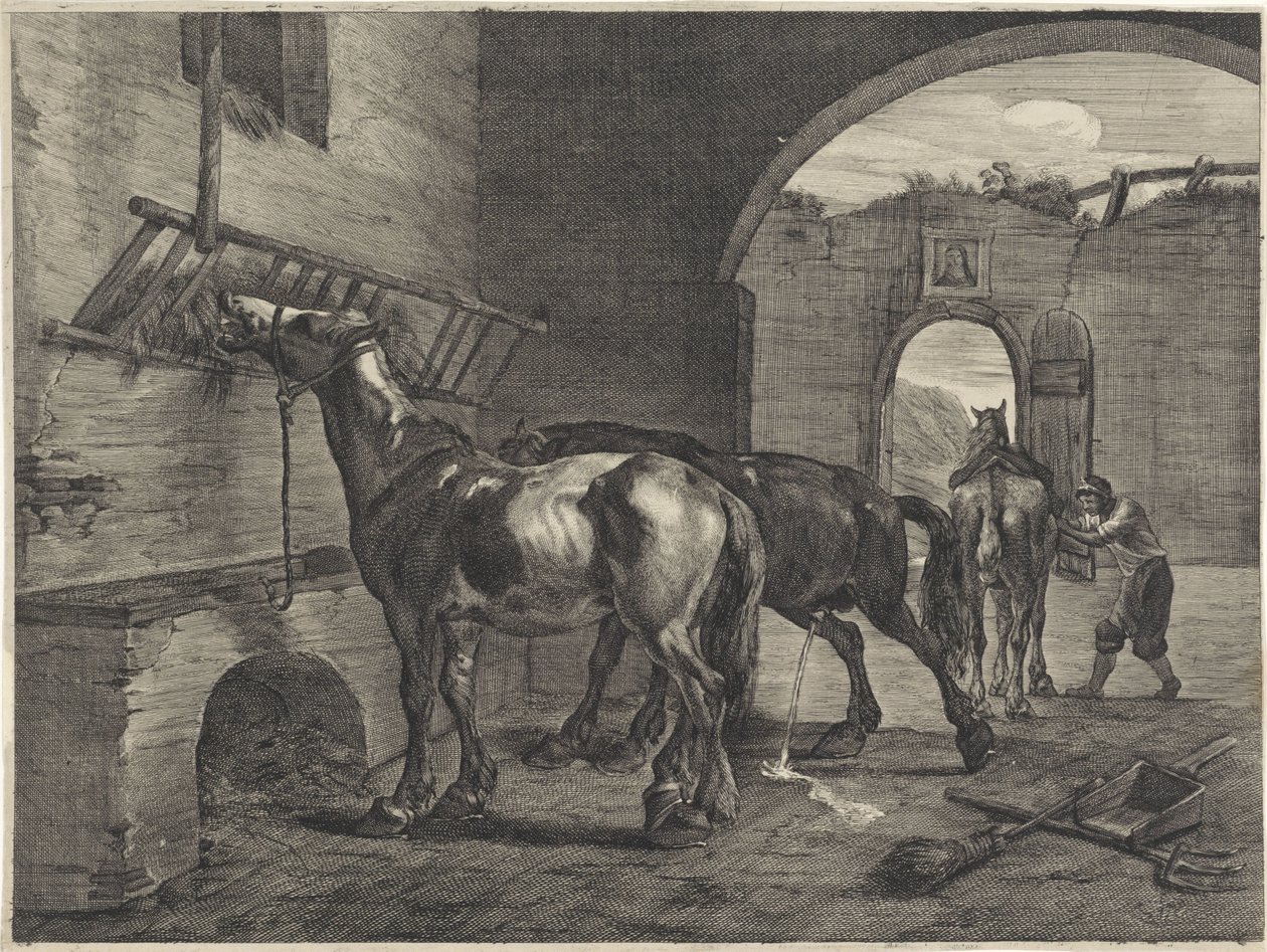 Kararlı by Cornelis Visscher (II)
