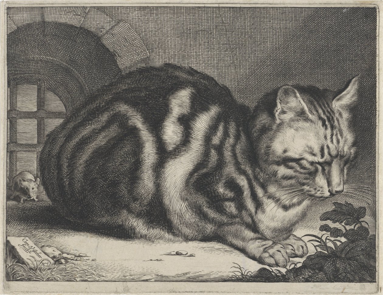 Büyük Kedi by Cornelis Visscher (II)