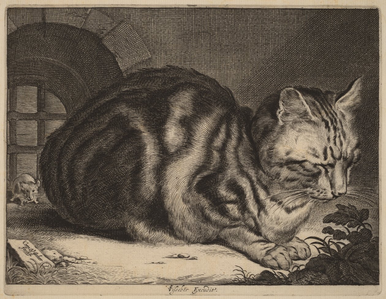Büyük Kedi by Cornelis Visscher