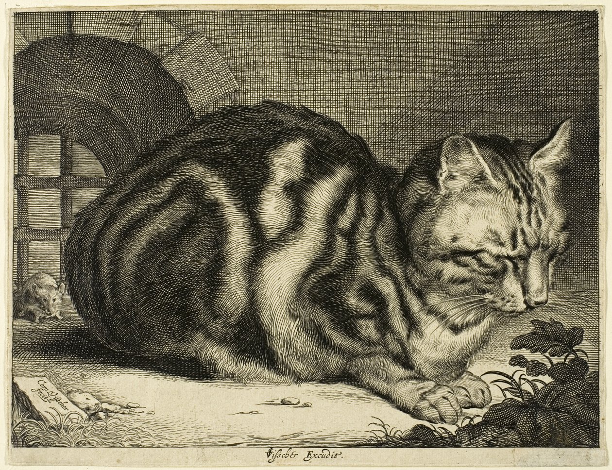 Büyük Kedi by Cornelis Visscher
