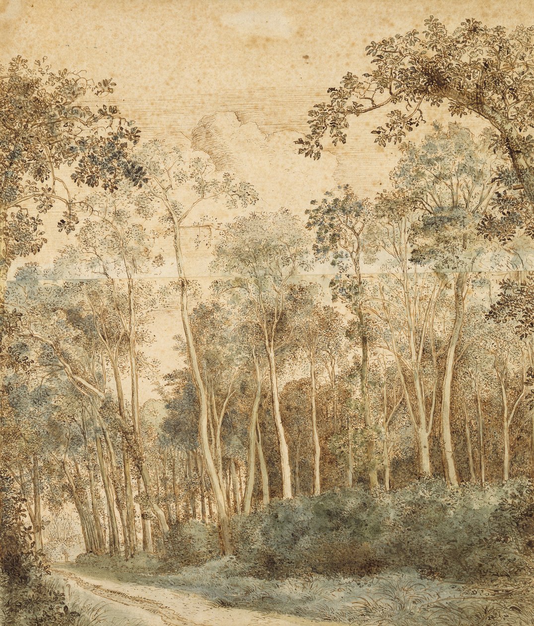 Wooded Peyzaj (kağıt üzerine kalem ve kahverengi mürekkep ve wc) by Hendrick Cornelisz. Vroom