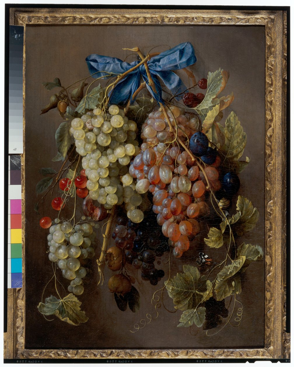 Mavi Kurdeleli Çividen Sarkan Üzüm, Kiraz ve Eriklerden Oluşan Natürmort by Cornelis de Heem