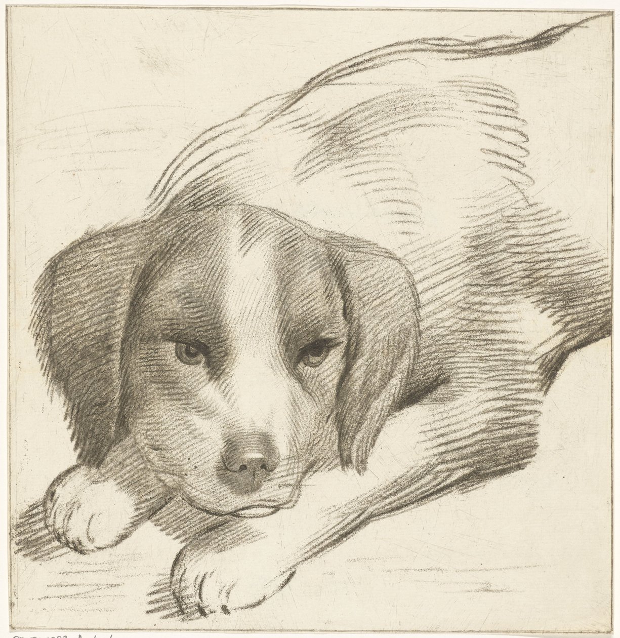 yalancı köpek by Cornelis van Noorde
