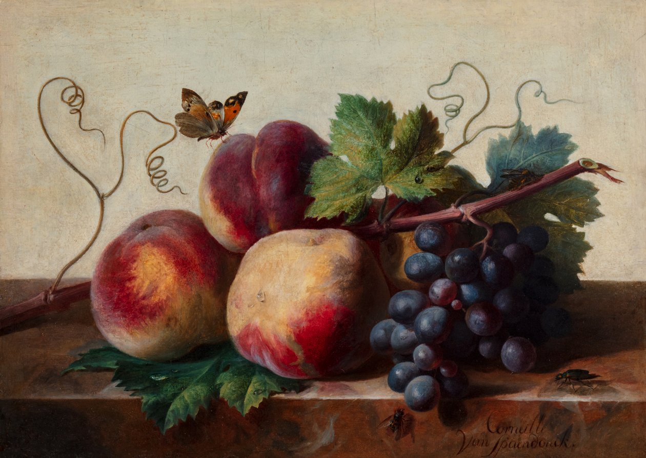  by Cornelis van Spaendonck