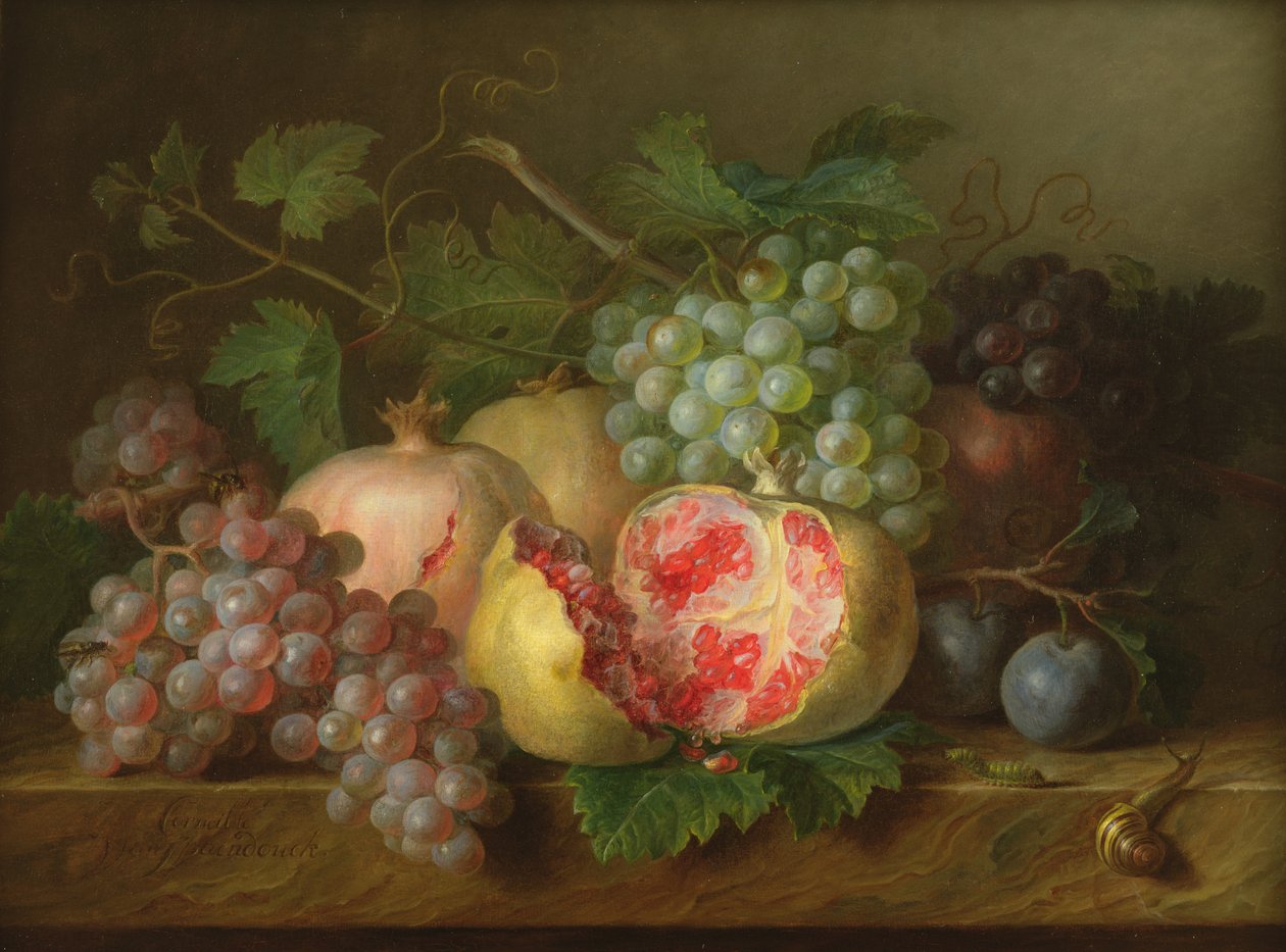 Bir mermer çıkıntı (panel) üzerinde nar, üzüm ve erik natürmort by Cornelis van Spaendonck