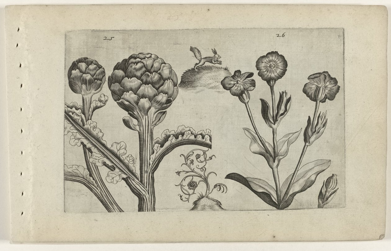 Artisjok en prikneus Zambakları bilin (dizi adı) by Crispijn van de Passe (I) (attributed to)