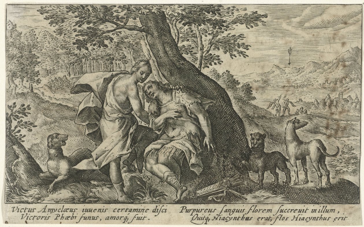 Apollo ve Sümbül Metamorfozlar van Ovidius (dizi başlığı) by Crispijn van de Passe (I)