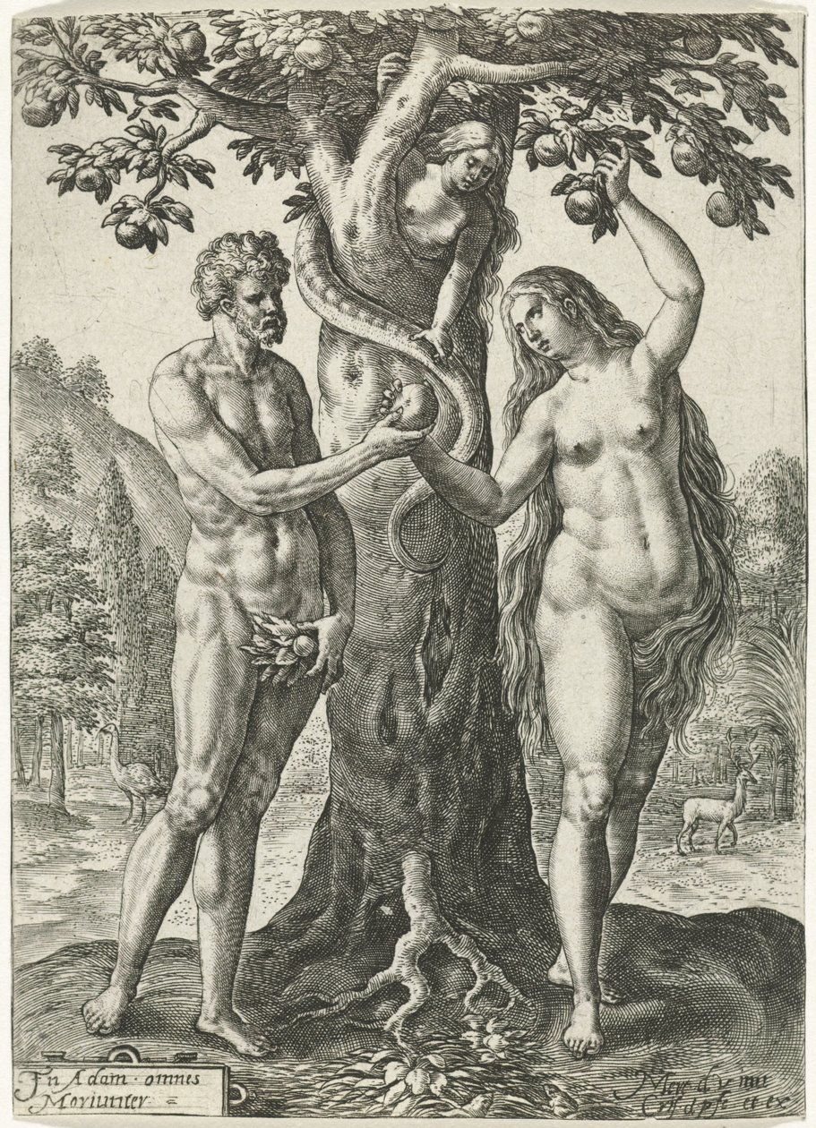 adamın düşmesi by Crispijn van de Passe (I)