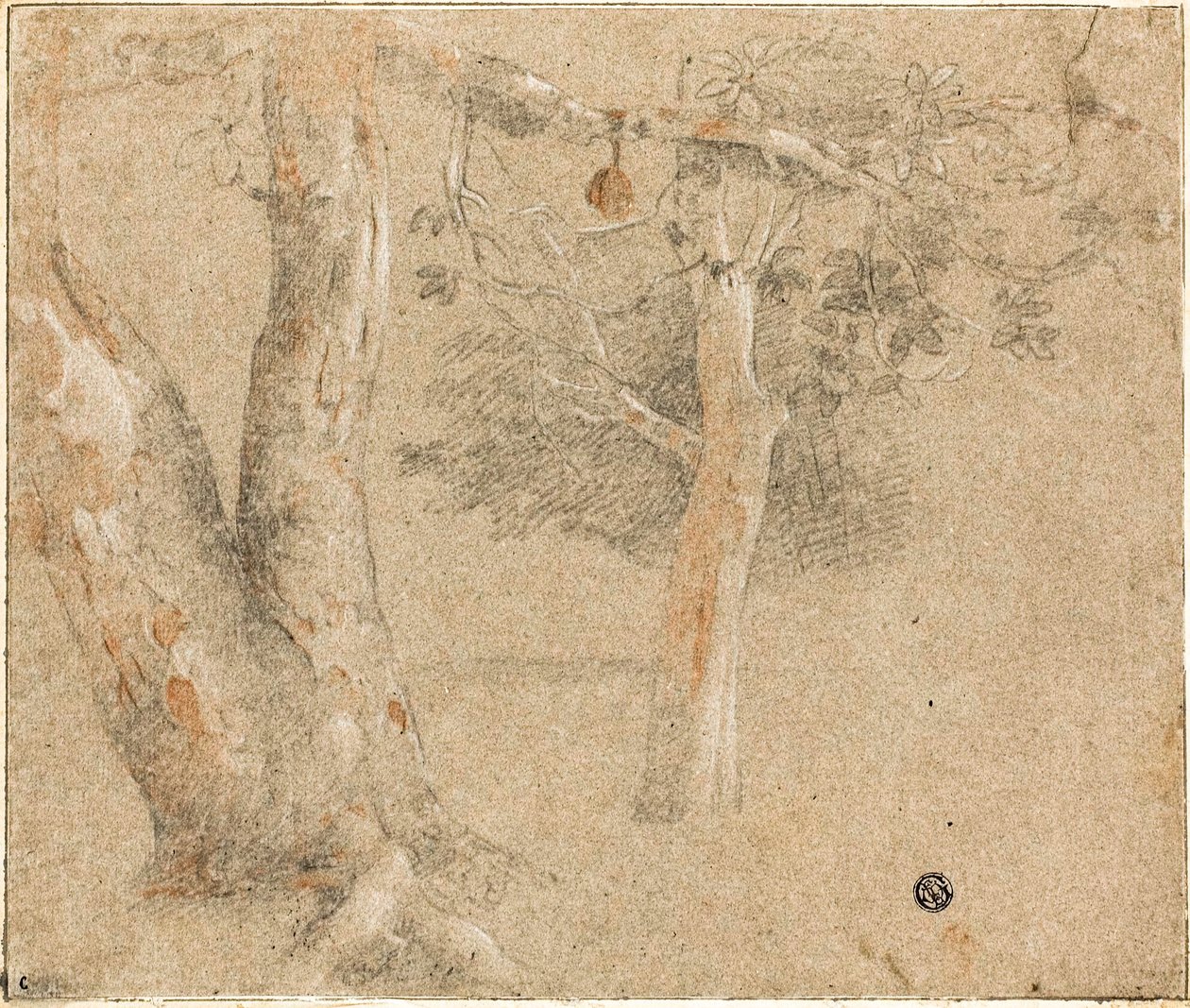 Ağaç Çizimleri by Cristofano Allori