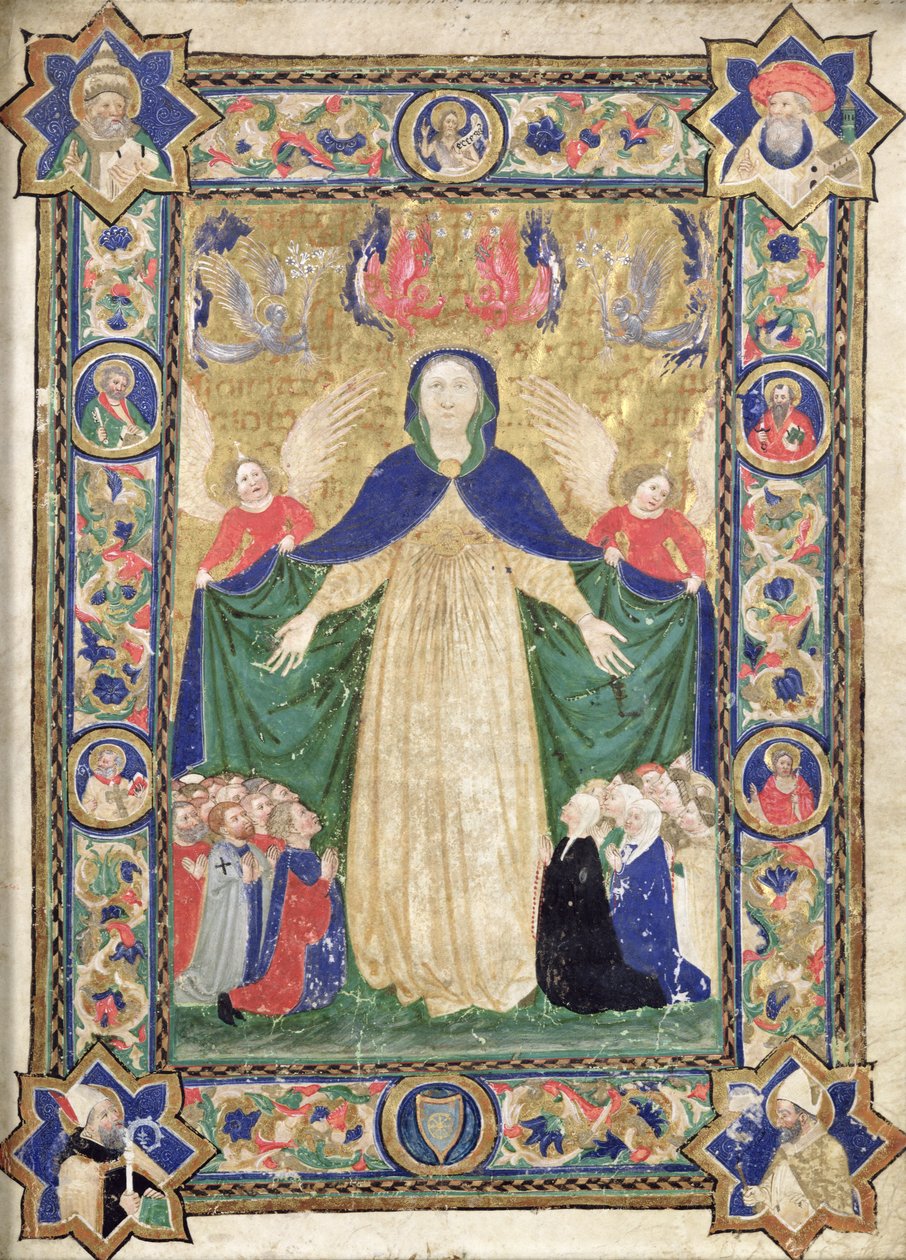 Misericordia