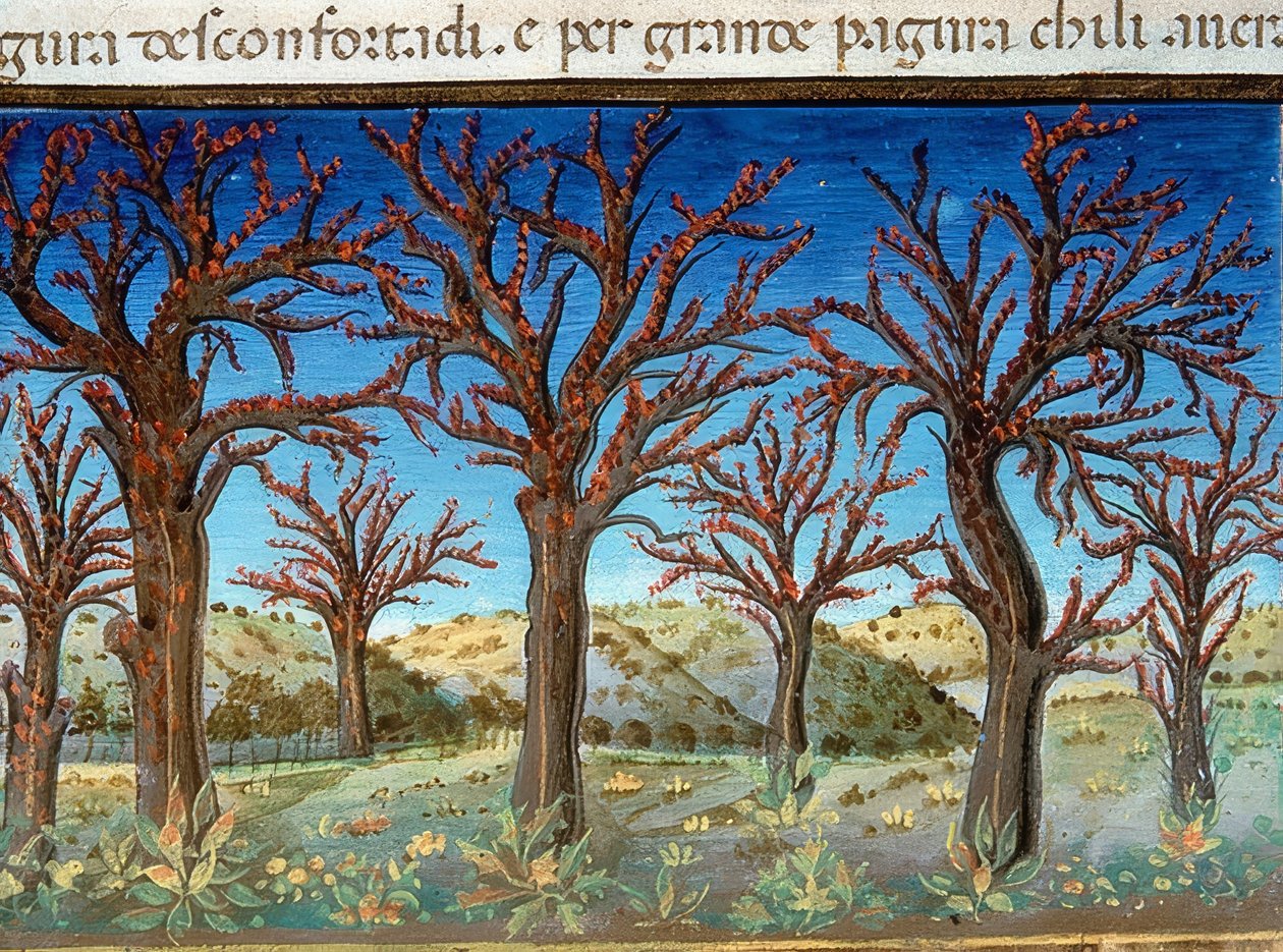 Dünyanın sonu: ağaçlar kana bulanacak (c.147v). 1476 by Cristoforo De Predis
