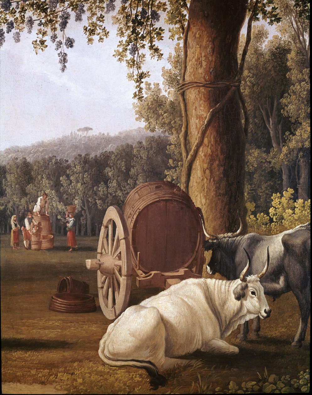 Napoli yakınlarında hasat İneklerin detayı - (Napoli yakınlarında hasat) Tablo Cristoforo Kneip (18. yüzyıl) Napoli, Museo Nazionale di San Martino by Cristoforo Kneip