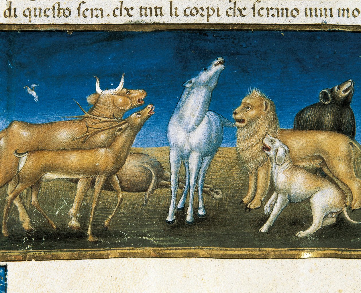 “Hayvanların gözleri önünde gökten yıldızlar düşecek” (minyatür) Minyatür, Cristoforo De Predis (1440-1486) by Cristoforo De Predis