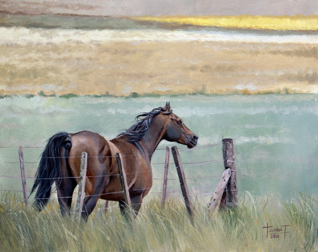 Özgürlük Düşleri, 2010 (tuval üzerine yağlı boya) by Cruz Jurado Traverso