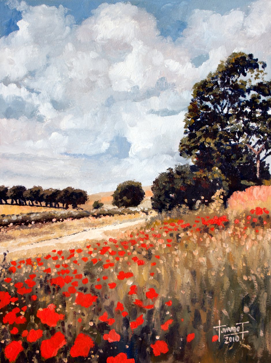 Yabani Gelincikler, Hertfordshire, 2010 (kağıt üzerinde yağlı boya) by Cruz Jurado Traverso