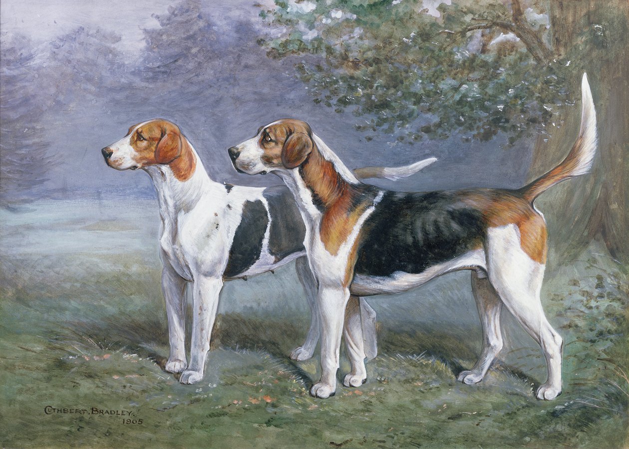 Bir Peyzajda Bir Orospu ve Köpek Tazısı by Cuthbert Bradley