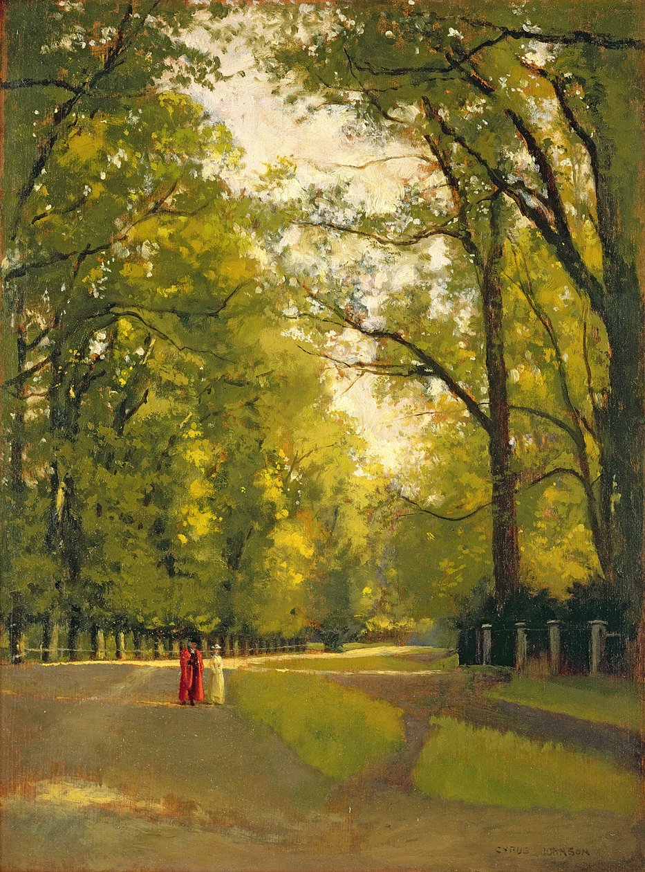 Kolejlerin Arkaları, Cambridge by Cyrus Johnson
