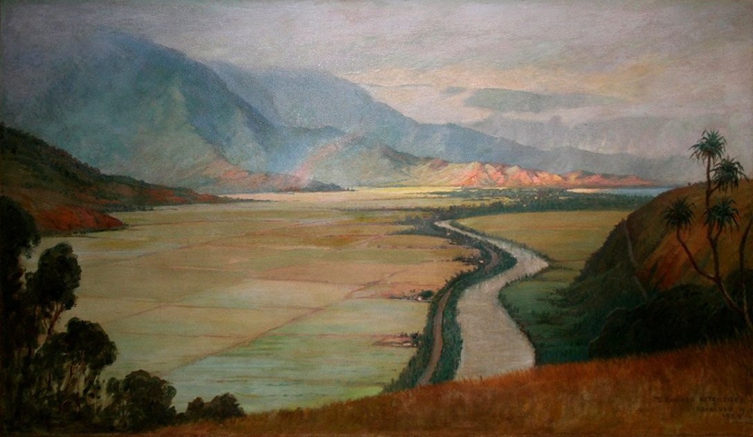 Hanalei Vadisi by D. Howard Hitchcock