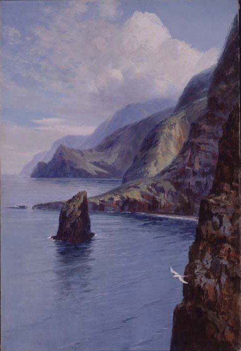 Molokai Kayalıkları, Hawaii by D. Howard Hitchcock