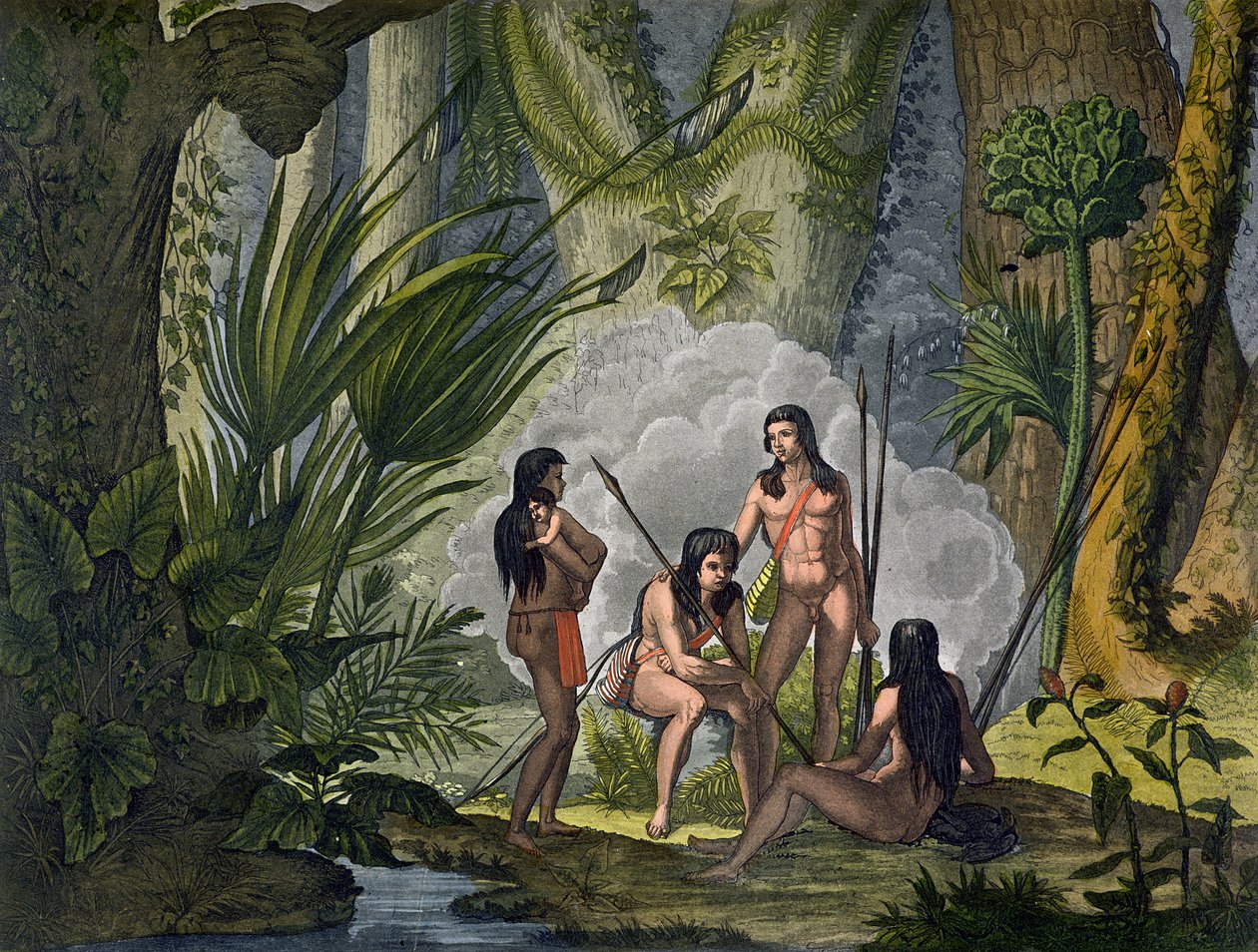 Amazon ormanındaki Woodland'daki Camacani Kabilesi, Brezilya, 'Le Costume Ancien et Moderne'den, Cilt I, plaka 53, Jules Ferrario tarafından, 1820'lerden 30'lara kadar yayınlandı (renkli gravür) by D.K. Bonatti