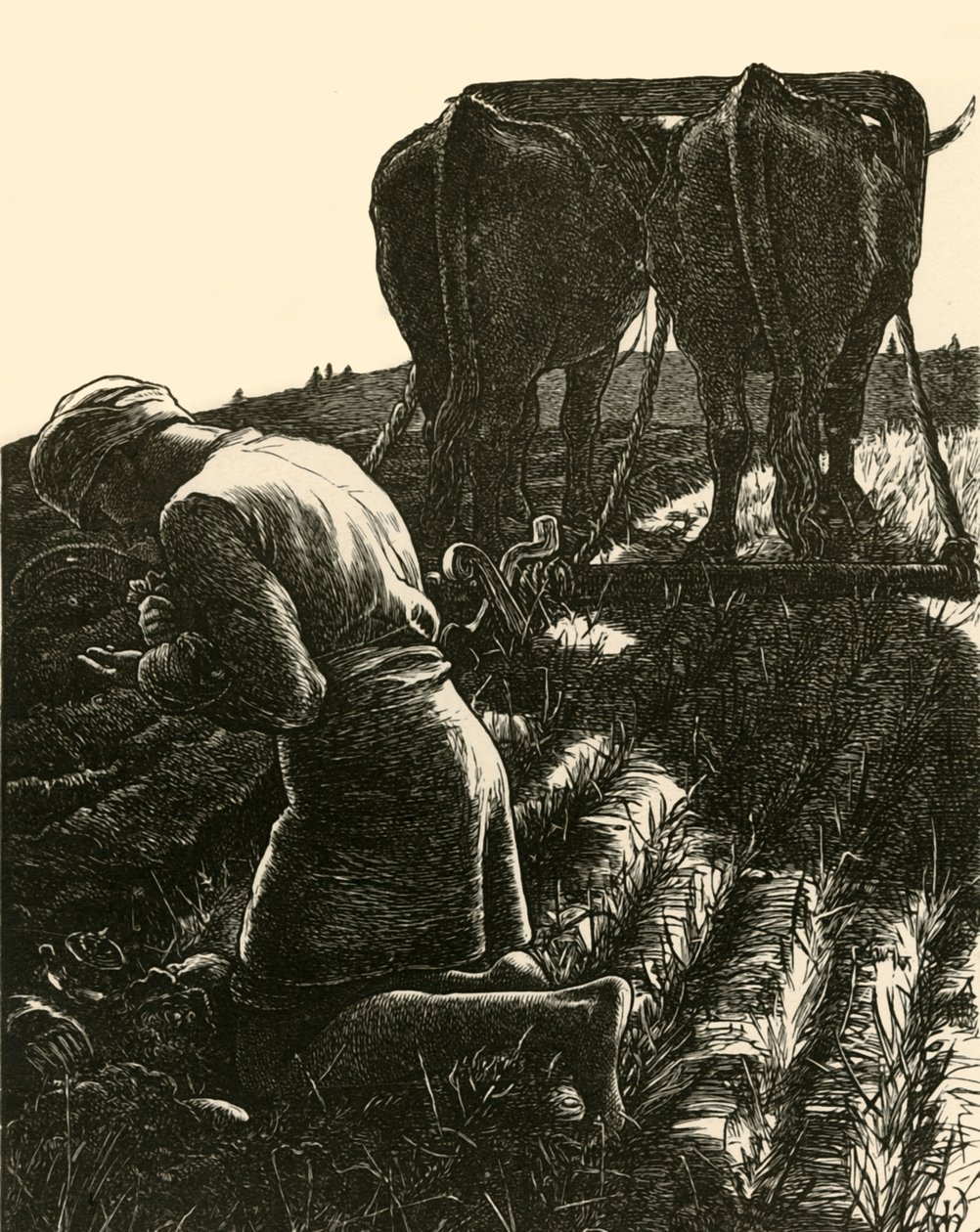 Gizli Hazine, 1864, 1928. by Dalziel Brothers