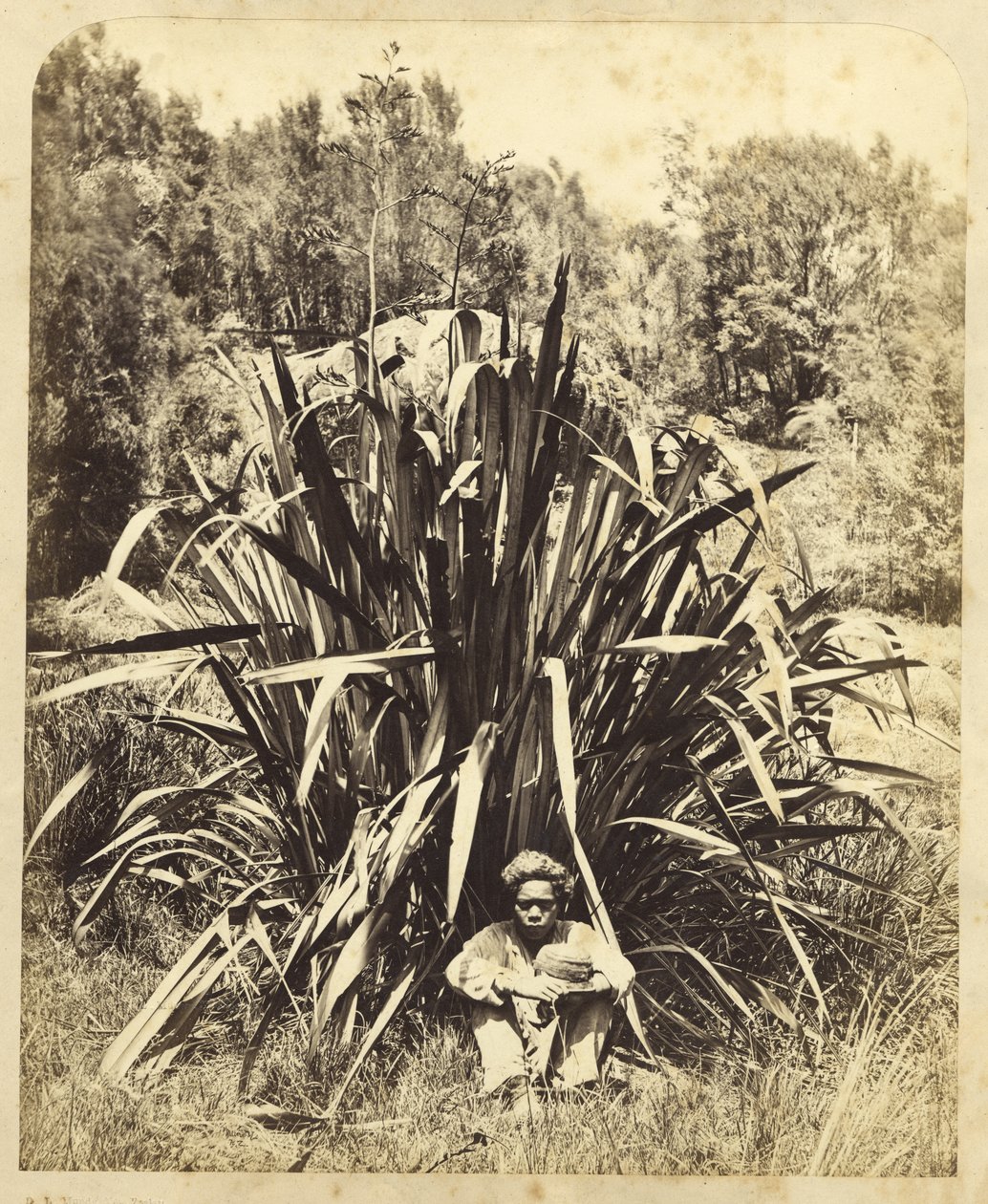 Wairere Nehri'nde Yerli Bir Çocukla Keten Çalı Çalışması, 1869 (albüm baskısı) by Daniel Louis Mundy