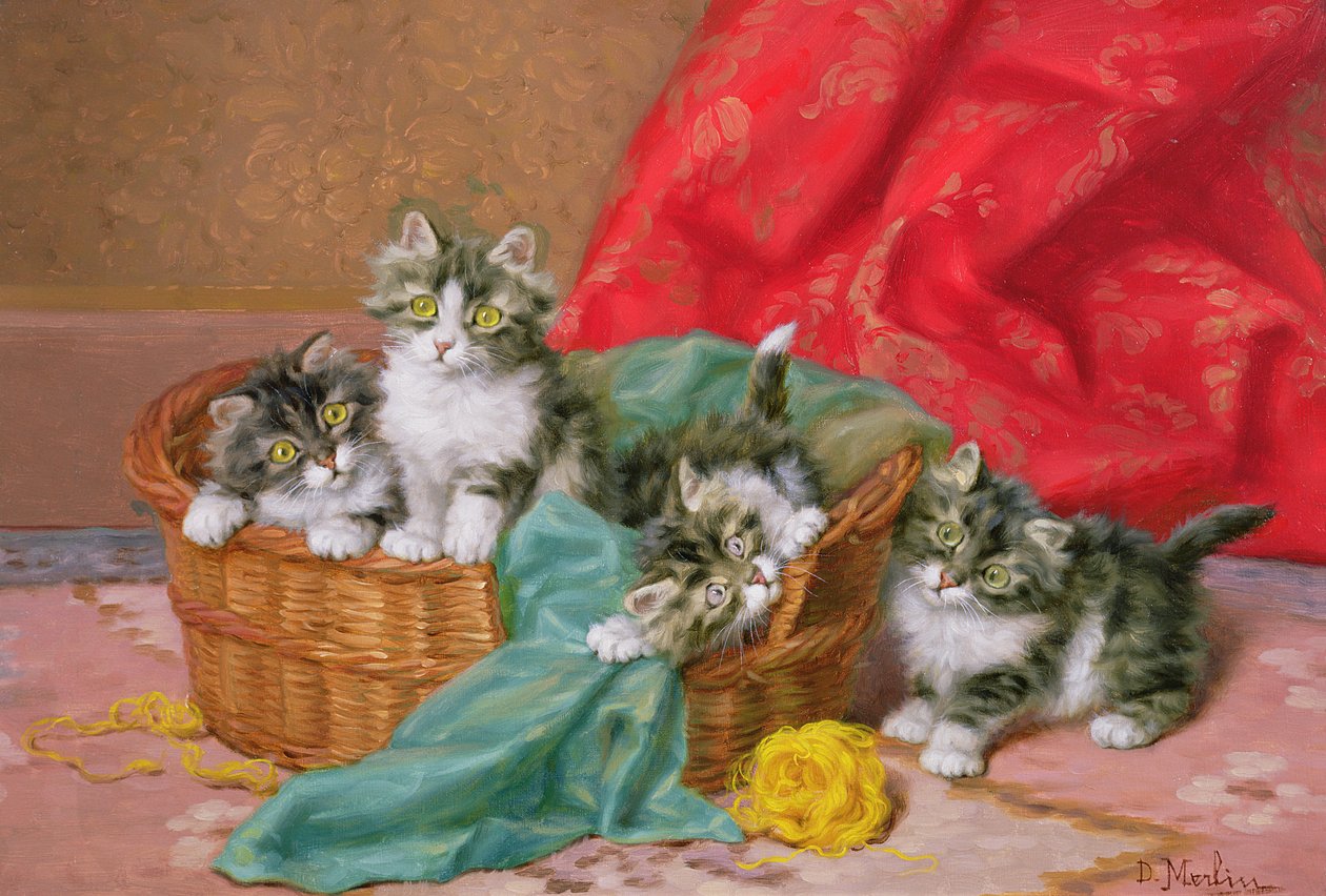 yaramaz yavru kedi by Daniel Merlin