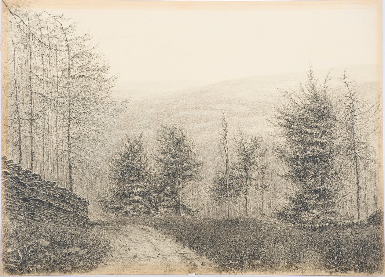 Egglestone Köprüsü, Teesdale, c.1916 (kart üzerinde siyah pastel boya) by Daniel Oliver