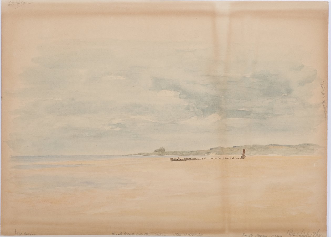 ರಾಸ್ ಲಿಂಕ್ಸ್, 1890 (ಪೆನ್ಸಿಲ್ ಅಂಡ್ ಡಬ್ಲ್ಯೂಸಿ ಆನ್ ಬೋರ್ಡ್) ಟರ್ಕ್ by Daniel Oliver