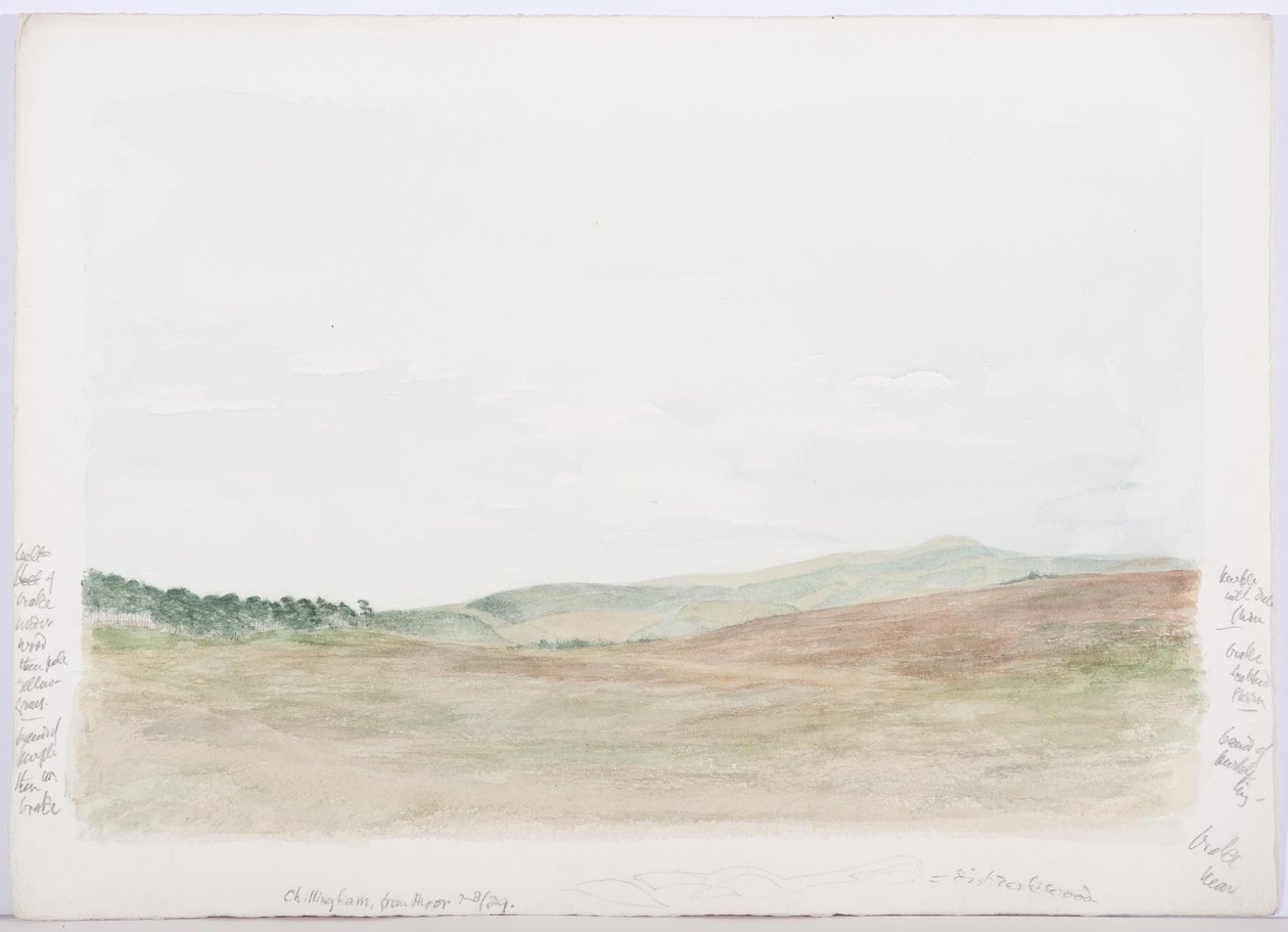 c.1916 (kağıt üzerinde kalem ve tuvalet) by Daniel Oliver